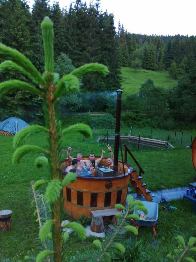 Pensiunea Waldhaus - Vatra Dornei Exterior foto